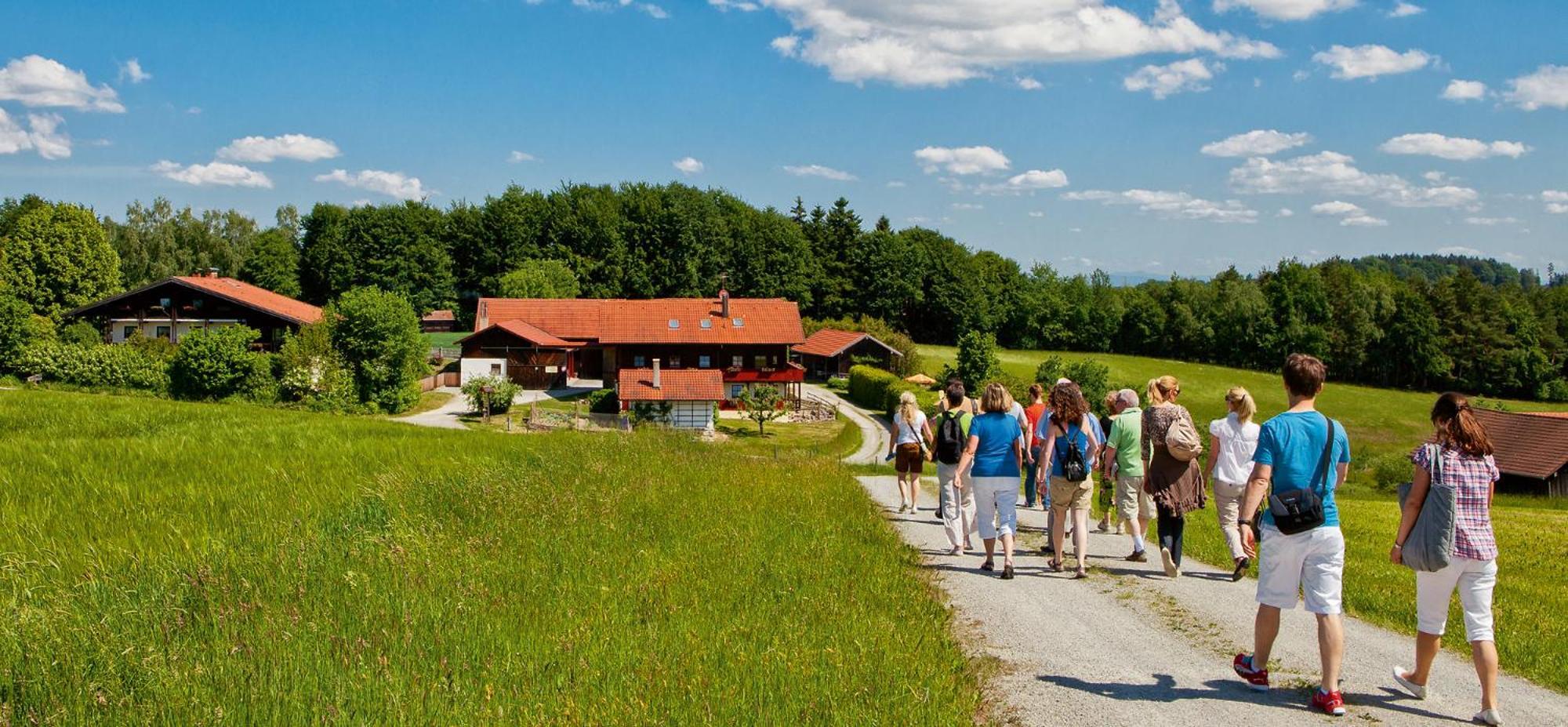 Chrysantihof Hotel